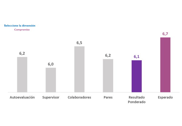 Grafico Competencias